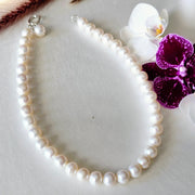 Ascending-White Freshwater Pearl  Necklace (Earrings Included)