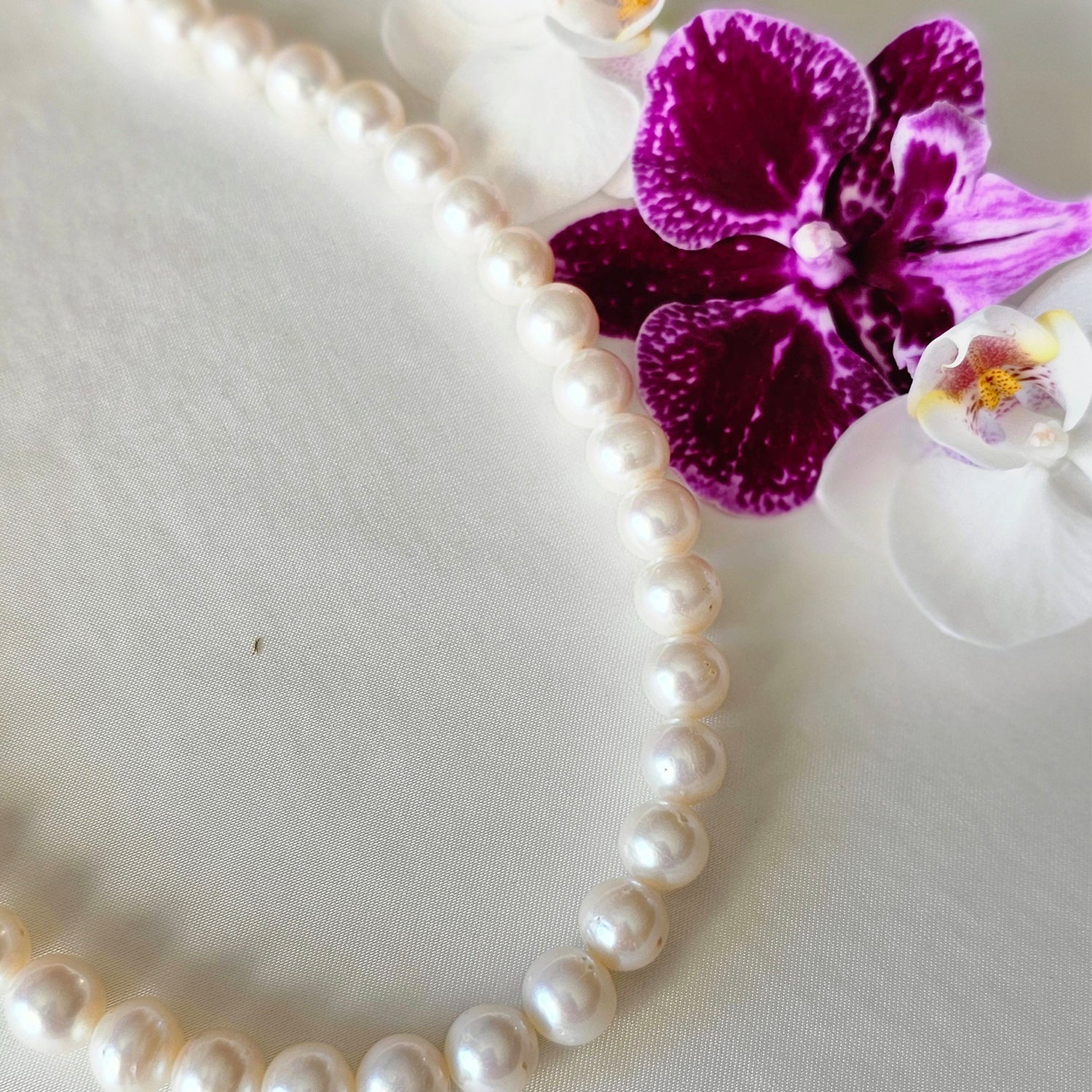 Ascending-White Freshwater Pearl  Necklace (Earrings Included)